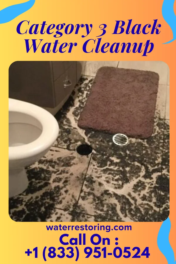 Category 3 Black Water Cleanup in Lone Jack, MO